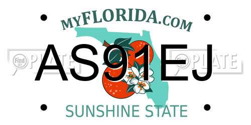 AS91EJ Florida License Plate