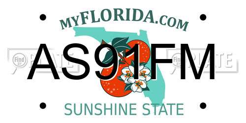 AS91FM Florida License Plate