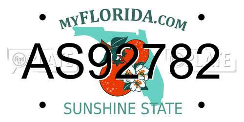 AS92782 Florida License Plate