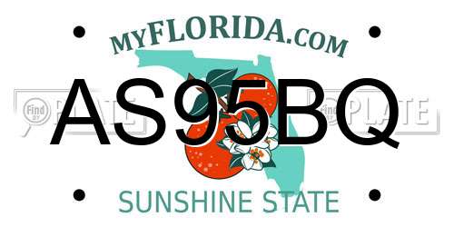 AS95BQ Florida License Plate