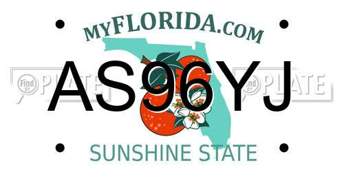 AS96YJ Florida License Plate