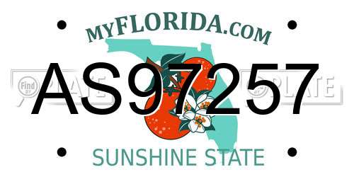 AS97257 Florida License Plate