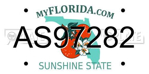AS97282 Florida License Plate