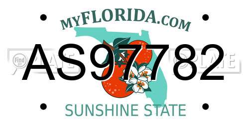AS97782 Florida License Plate