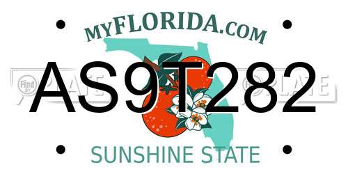 AS9T282 Florida License Plate