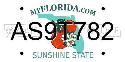 AS9T782 Florida License Plate