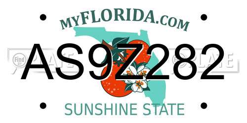 AS9Z282 Florida License Plate