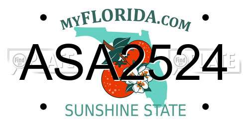 ASA2524 Florida License Plate