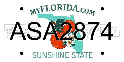 ASA2874 Florida License Plate