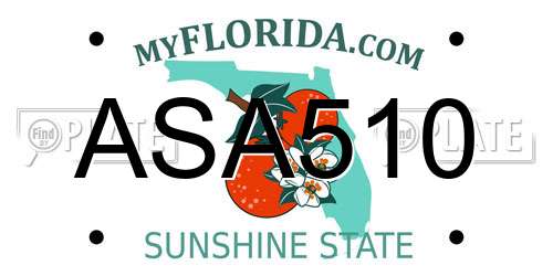 ASA510 Florida License Plate