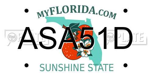 ASA51D Florida License Plate