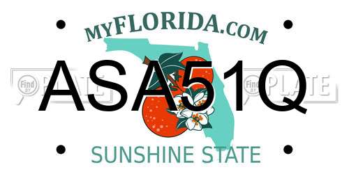 ASA51Q Florida License Plate