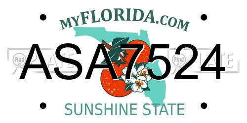 ASA7524 Florida License Plate