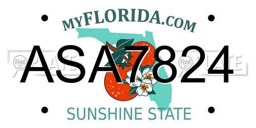 ASA7824 Florida License Plate