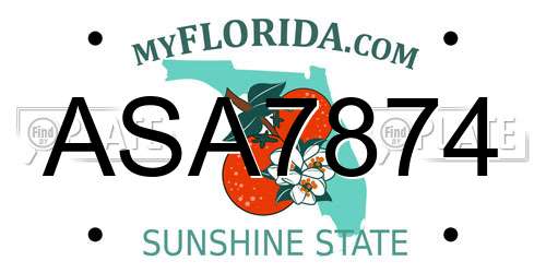 ASA7874 Florida License Plate