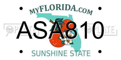 ASA810 Florida License Plate