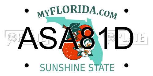 ASA81D Florida License Plate