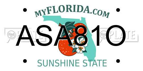 ASA81O Florida License Plate