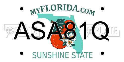 ASA81Q Florida License Plate