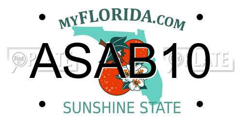 ASAB10 Florida License Plate