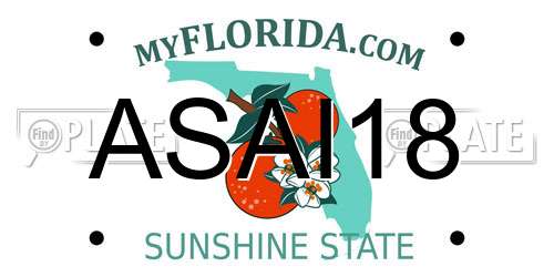 ASAI18 Florida License Plate