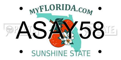 ASAY58 Florida License Plate