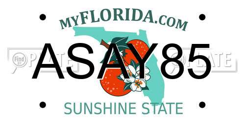 ASAY85 Florida License Plate