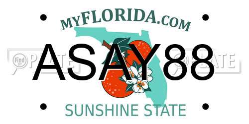 ASAY88 Florida License Plate