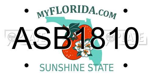 ASB1810 Florida License Plate