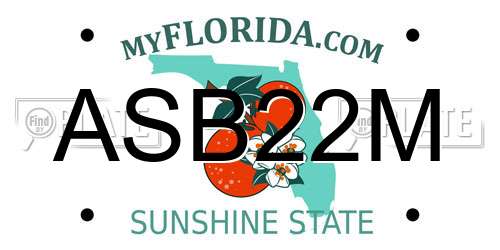 ASB22M Florida License Plate