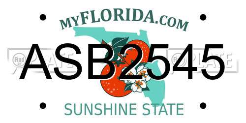 ASB2545 Florida License Plate