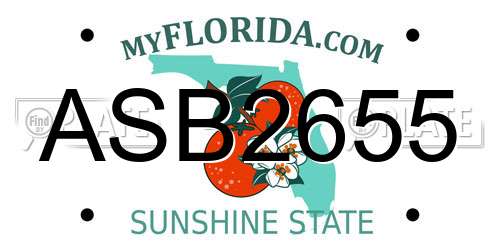 ASB2655 Florida License Plate