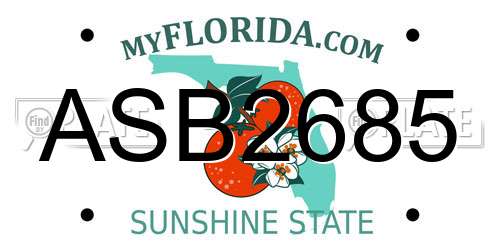 ASB2685 Florida License Plate