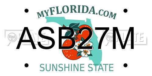 ASB27M Florida License Plate
