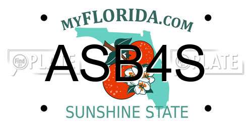 ASB4S Florida License Plate