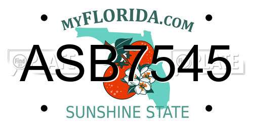 ASB7545 Florida License Plate