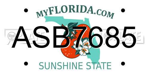 ASB7685 Florida License Plate
