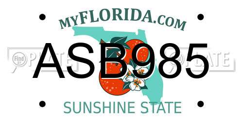ASB985 Florida License Plate