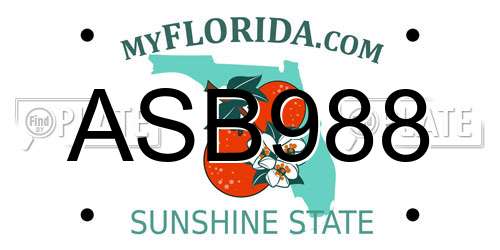 ASB988 Florida License Plate