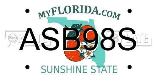 ASB98S Florida License Plate