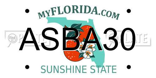 ASBA30 Florida License Plate