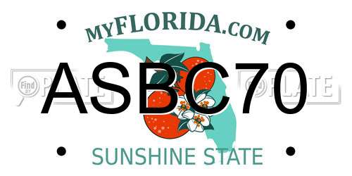 ASBC70 Florida License Plate