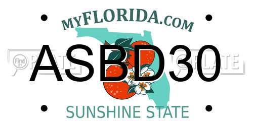 ASBD30 Florida License Plate