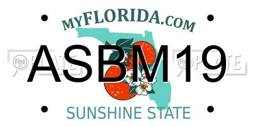 ASBM19 Florida License Plate