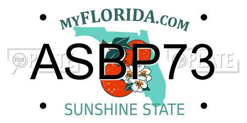 ASBP73 Florida License Plate