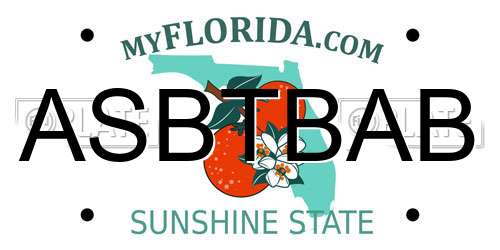 ASBTBAB Florida License Plate