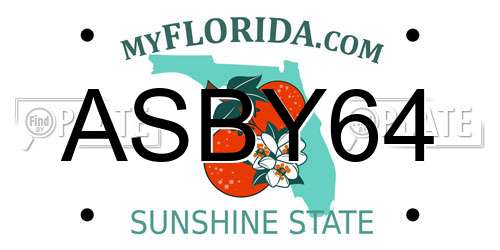 ASBY64 Florida License Plate
