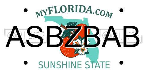 ASBZBAB Florida License Plate