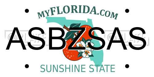 ASBZSAS Florida License Plate