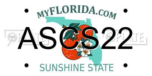 ASCS22 Florida License Plate